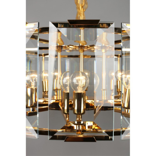 Люстра подвесная OML-81503-10 фото 7