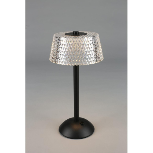 Настольная лампа OML-40104-01 фото 13