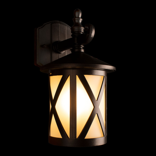 100016W Уличный настенный светильник LOFT IT Ravenna фото 5