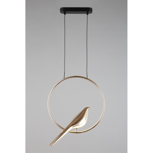 Светильник подвесной APL.822.06.10 фото 6