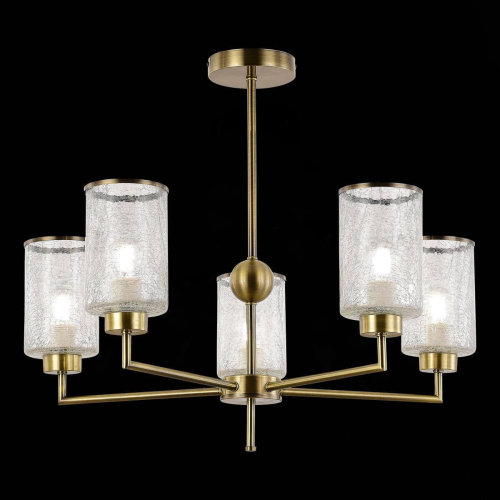 Подвесная люстра Evoluce Vestre SLE1046-302-05 фото 2