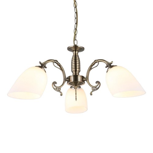 Люстра подвесная OML-56407-03 Люстра подвесная OML-56407-03