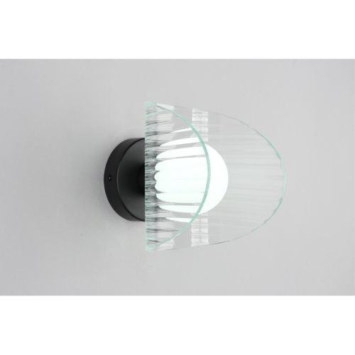 Светильник настенный (Бра) OML-52401-01 фото 5