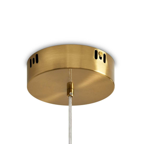 Подвесная светодиодная люстра Freya Amela FR6138PL-L44BS фото 7