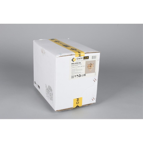 Светильник настенный (Бра) OML-67901-02 фото 8