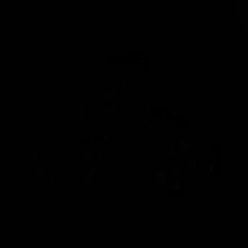 ST252.518.01 Св-к встр. из гипса Белый GU10 1*50W  IP20 L80xW80xH52 180-240V Без ламп Встраиваемые светильники фото 7