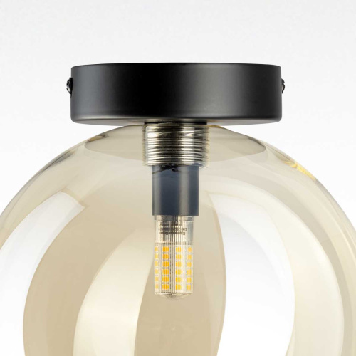 Светильник Citilux ORTON CL202512 фото 3