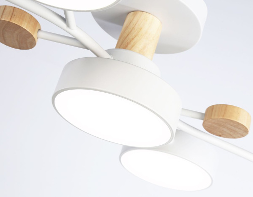 Потолочная светодиодная люстра Ambrella light Comfort LineTech FL4834 фото 5