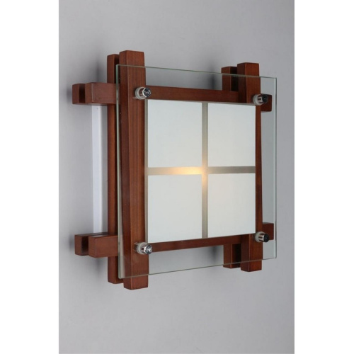 Светильник настенно-потолочный OML-40527-01 фото 5 Светильник настенно-потолочный OML-40527-01 фото 5