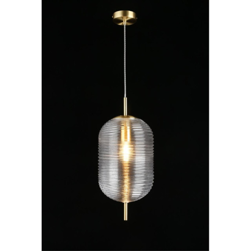 Светильник подвесной APL.316.16.01 фото 12