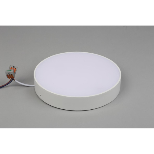 Светильник настенно-потолочный APL.0114.09.24 фото 6