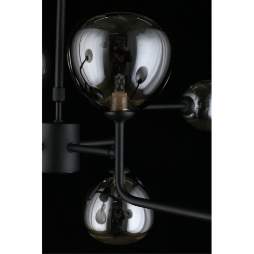 Люстра потолочная APL.913.07.08 фото 13