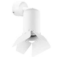 Комплект со светильником Lightstar Rullo (214436+590006+202436) RB436436