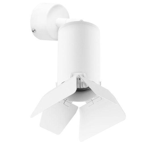 Комплект со светильником Lightstar Rullo (214436+590006+202436) RB436436