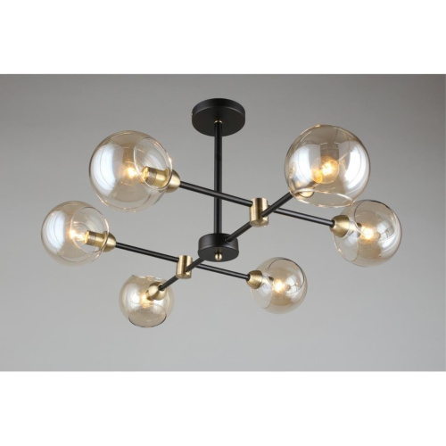 Люстра потолочная OML-94207-06 фото 10