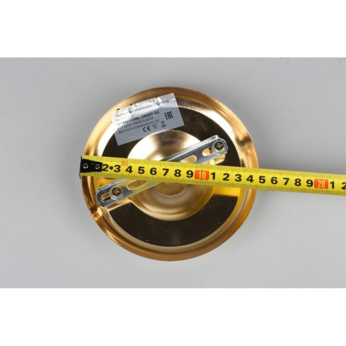 Люстра потолочная OML-29007-05 фото 7