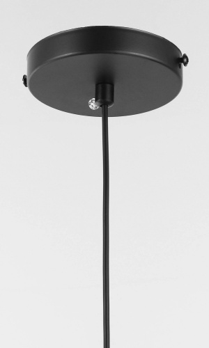Подвесной светильник Lampit TP 2022-2 BK фото 2 Подвесной светильник Lampit TP 2022-2 BK фото 2