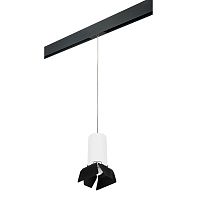 Комплект с трековым светильником Lightstar Rullo (216486+595887+202487) PRORP6486487