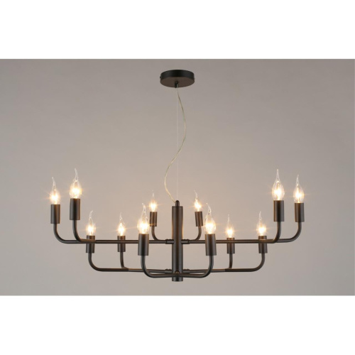 Люстра подвесная APL.338.13.12 фото 3