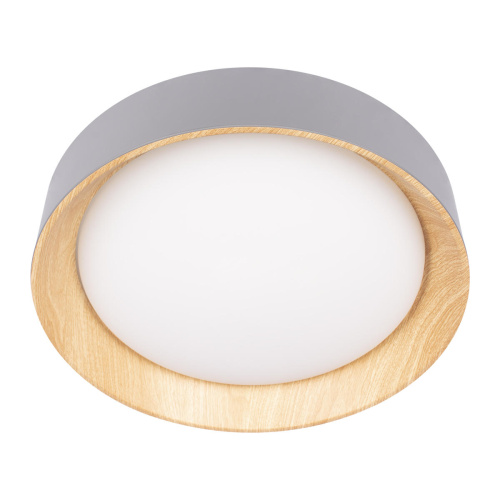 10202 Grey Потолочный светильник LOFT IT Coin фото 2 10202 Grey Потолочный светильник LOFT IT Coin фото 2