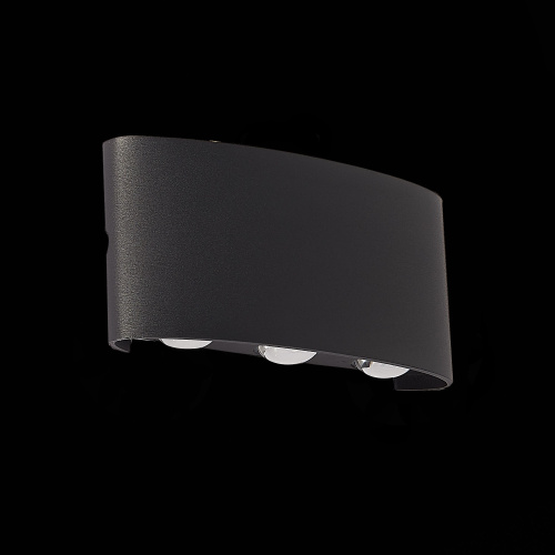 SL089.401.06 Светильник уличный настенный ST-Luce Черный кварцевый LED 6*1W 4000K BISELLO фото 5