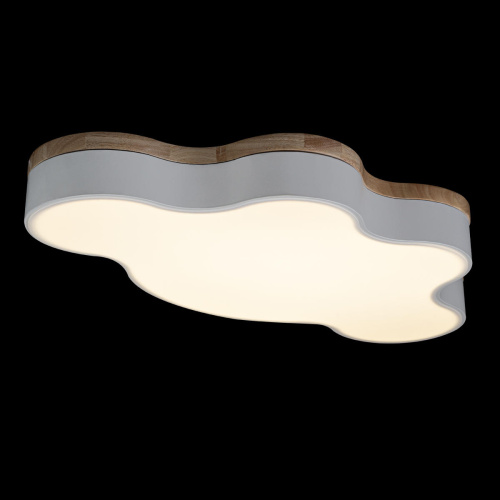 10005/36 White Потолочный светильник LOFT IT Axel фото 2 10005/36 White Потолочный светильник LOFT IT Axel фото 2