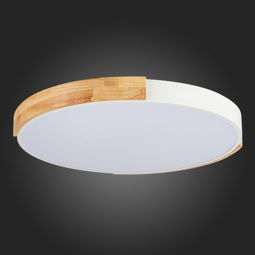 SLE201352-01 Светильник потолочный Белый, Светлое дерево/Белый LED 1*40W 3000K/4000K/6000K DELIA фото 2