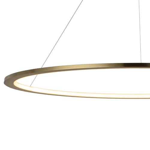 10014XXL Подвесной светильник LOFT IT Ring фото 6