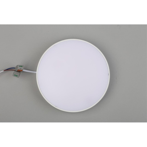 Светильник настенно-потолочный APL.0114.09.24 фото 8