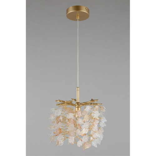 Светильник подвесной OML-52806-01 фото 5