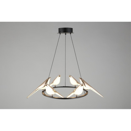 Люстра подвесная APL.822.03.60 фото 17 Люстра подвесная APL.822.03.60 фото 17