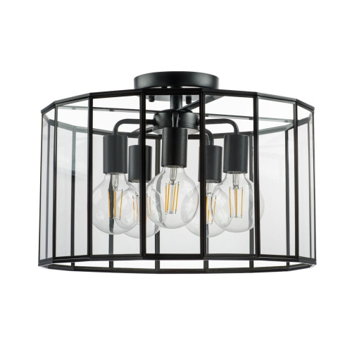 Потолочная люстра Lightstar Genni 798257 Потолочная люстра Lightstar Genni 798257