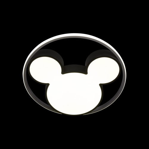 10165 Потолочный светильник LOFT IT Mike фото 2