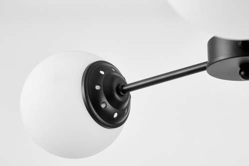 Подвесной светильник Lampit Fino TP 2003-3 BK фото 6