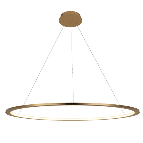 10014XL Подвесной светильник LOFT IT Ring фото 2 10014XL Подвесной светильник LOFT IT Ring фото 2