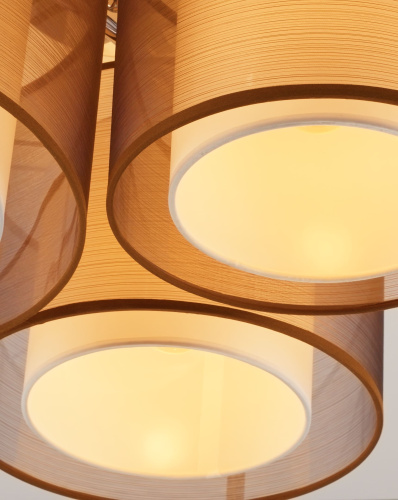 Светильник потолочный Moderli V10623-3C Room фото 3