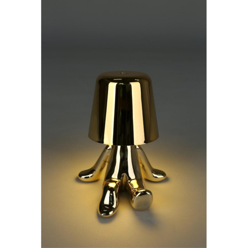 Настольная лампа APL.674.04.01 фото 13