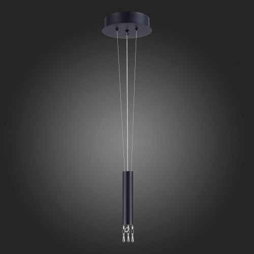 ST606.429.00 Комплект подвесной ST-Luce Черный Накладные светильники фото 3