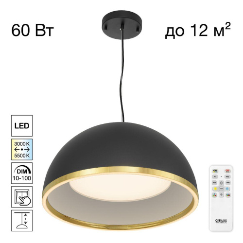 Подвесной светодиодный светильник Citilux Floom CL736251