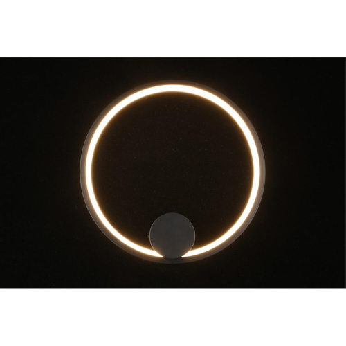 Светильник настенный (Бра) APL.055.11.09 фото 6