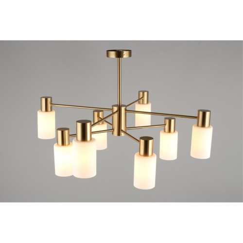 Люстра потолочная OML-69107-08 фото 5