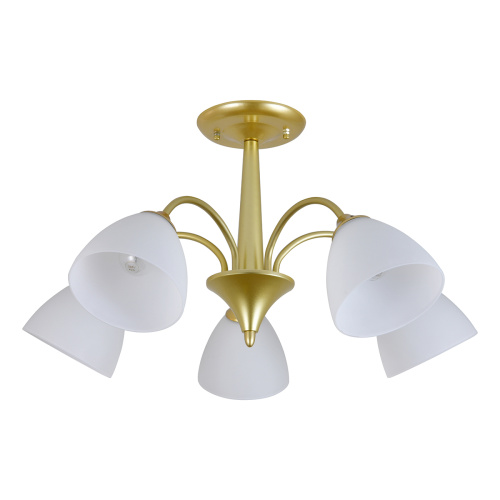 Светильник на штанге 150003/5R E27*60W Gold фото 2