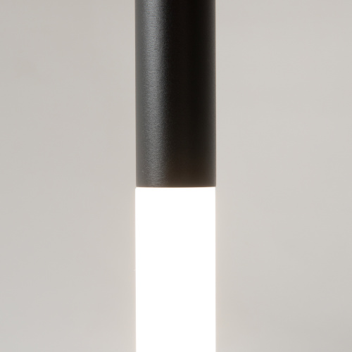 Подвесной светильник Maytoni MOD157PL-L6BK фото 8