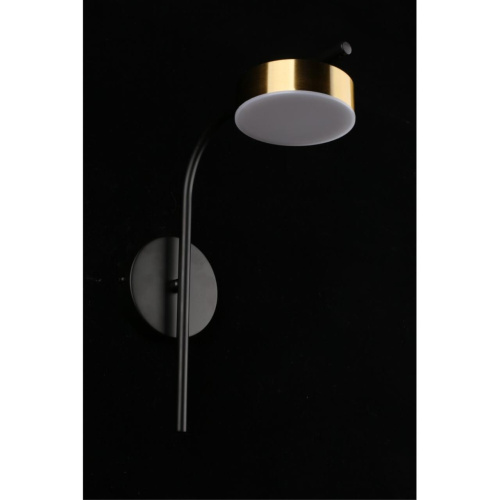 Светильник настенный (Бра) APL.042.01.07 фото 4