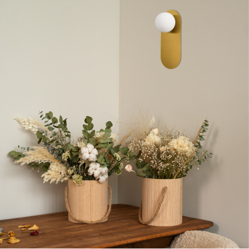 SLE1194-301-01 Светильник настенный Латунь/Белый G9 LED 1*5W 4000K TOCCO фото 2