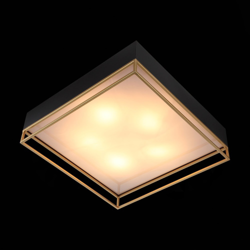 SL1127.422.05 Светильник потолочный ST-Luce Черный, Матовое золото/Белый E27 5*40W CHODO фото 6