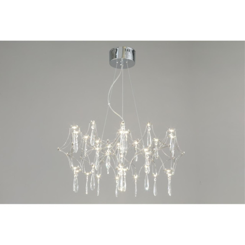 Люстра подвесная OML-95403-25 фото 4 Люстра подвесная OML-95403-25 фото 4