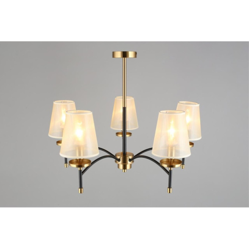 Люстра потолочная OML-67307-05 фото 6