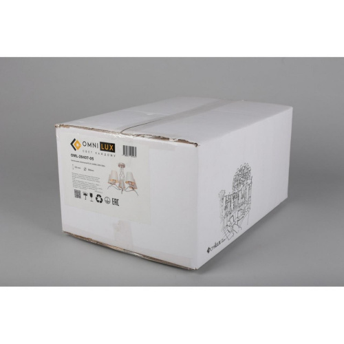 Люстра потолочная OML-28407-05 фото 9