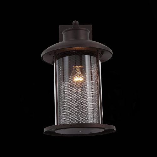 SL080.401.01 Светильник уличный настенный ST-Luce Темный кофе/Прозрачный, Темный кофе E27 1*60W LASTERO фото 5